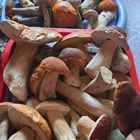 Pape Apartament * Pape